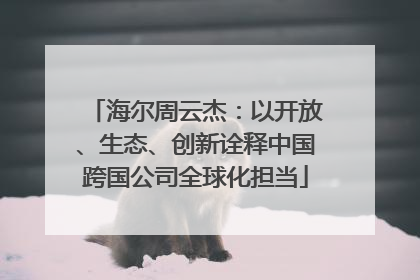 海尔周云杰：以开放、生态、创新诠释中国跨国公司全球化担当
