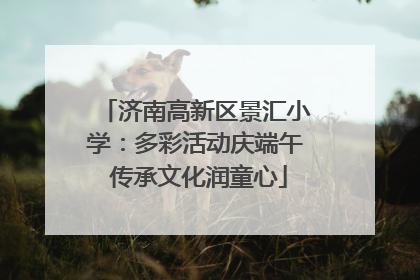 济南高新区景汇小学：多彩活动庆端午 传承文化润童心