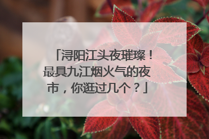 浔阳江头夜璀璨！最具九江烟火气的夜市，你逛过几个？
