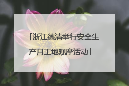 浙江德清举行安全生产月工地观摩活动