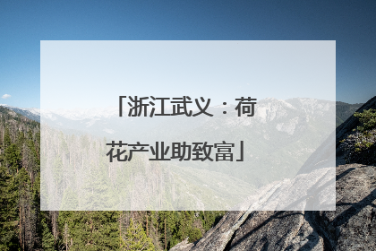 浙江武义:荷花产业助致富