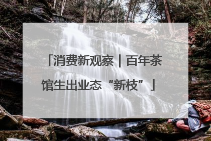 消费新观察｜百年茶馆生出业态“新枝”