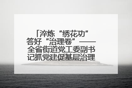 淬炼“绣花功” 答好“治理卷”——全省街道党工委副书记抓党建促基层治理培训示范班侧记