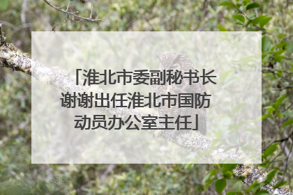 淮北市委副秘书长谢谢出任淮北市国防动员办公室主任