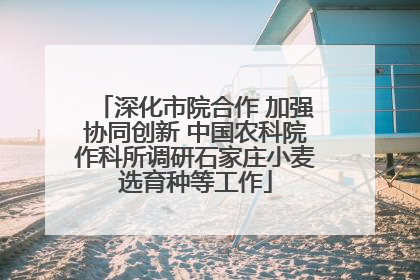 深化市院合作 加强协同创新 中国农科院作科所调研石家庄小麦选育种等工作