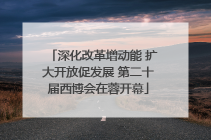 深化改革增动能 扩大开放促发展 第二十届西博会在蓉开幕