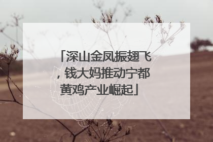 深山金凤振翅飞，钱大妈推动宁都黄鸡产业崛起