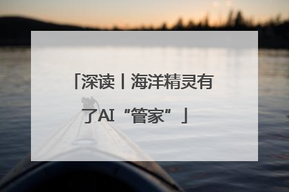 深读丨海洋精灵有了AI“管家”