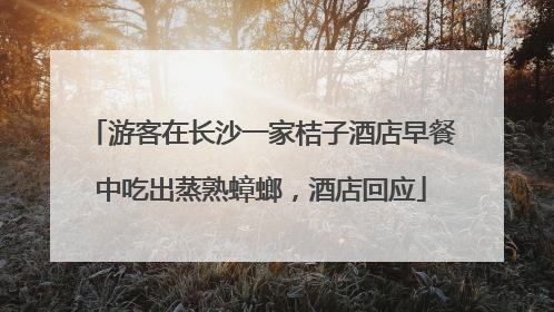 游客在长沙一家桔子酒店早餐中吃出蒸熟蟑螂，酒店回应