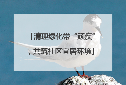 清理绿化带“顽疾”，共筑社区宜居环境