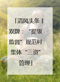清风头条丨双牌：“提级监督”规范村集体“三资”管理