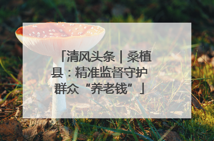 清风头条｜桑植县：精准监督守护群众“养老钱”