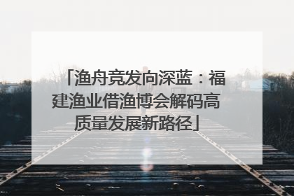 渔舟竞发向深蓝：福建渔业借渔博会解码高质量发展新路径