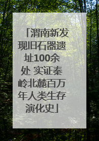渭南新发现旧石器遗址100余处 实证秦岭北麓百万年人类生存演化史