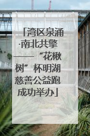 湾区泉涌·南北共擎——“花楸树”杯明湖慈善公益跑成功举办