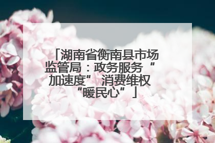 湖南省衡南县市场监管局：政务服务“加速度” 消费维权“暖民心”