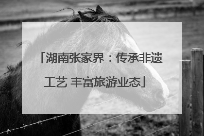 湖南张家界：传承非遗工艺 丰富旅游业态
