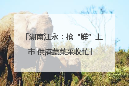 湖南江永：抢“鲜”上市 供港蔬菜采收忙