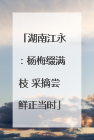 湖南江永：杨梅缀满枝 采摘尝鲜正当时