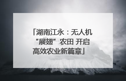 湖南江永：无人机“展翅”农田 开启高效农业新篇章