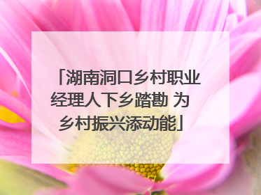 湖南洞口乡村职业经理人下乡踏勘 为乡村振兴添动能
