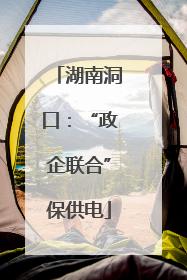 湖南洞口：“政企联合”保供电