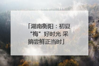 湖南衡阳：初夏“梅”好时光 采摘尝鲜正当时