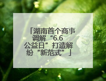 湖南首个商事调解“6.6 公益日”打造解纷“新范式”