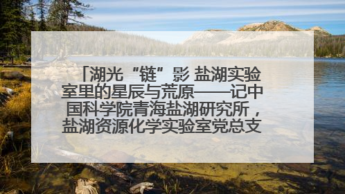 湖光“链”影 盐湖实验室里的星辰与荒原——记中国科学院青海盐湖研究所，盐湖资源化学实验室党总支书记、副主任刘忠