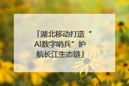 湖北移动打造“AI数字哨兵”护航长江生态链