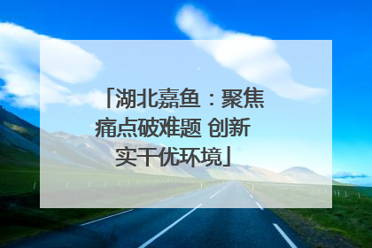 湖北嘉鱼：聚焦痛点破难题 创新实干优环境