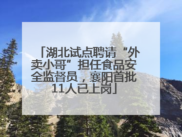 湖北试点聘请“外卖小哥”担任食品安全监督员，襄阳首批11人已上岗