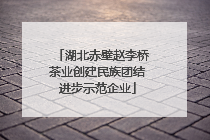 湖北赤壁赵李桥茶业创建民族团结进步示范企业