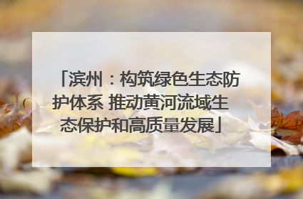 滨州：构筑绿色生态防护体系 推动黄河流域生态保护和高质量发展