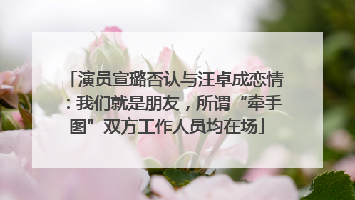 演员宣璐否认与汪卓成恋情：我们就是朋友，所谓“牵手图”双方工作人员均在场