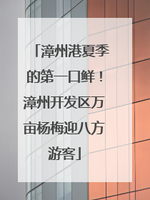 漳州港夏季的第一口鲜！漳州开发区万亩杨梅迎八方游客