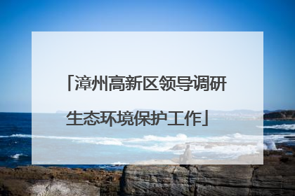 漳州高新区领导调研生态环境保护工作