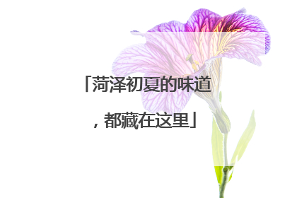 菏泽初夏的味道，都藏在这里