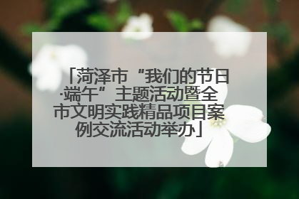 菏泽市“我们的节日·端午”主题活动暨全市文明实践精品项目案例交流活动举办