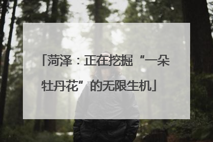 菏泽：正在挖掘“一朵牡丹花”的无限生机