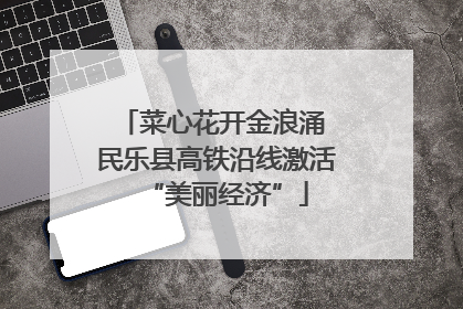菜心花开金浪涌 民乐县高铁沿线激活“美丽经济”