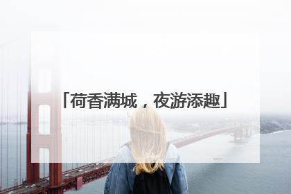 荷香满城，夜游添趣