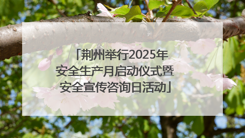 荆州举行2025年安全生产月启动仪式暨安全宣传咨询日活动