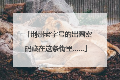 荆州老字号的出圈密码藏在这条街里……