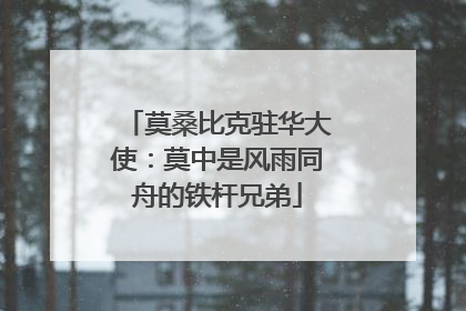 莫桑比克驻华大使：莫中是风雨同舟的铁杆兄弟