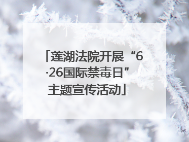 莲湖法院开展“6·26国际禁毒日”主题宣传活动