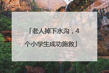 老人掉下水沟，4个小学生成功施救