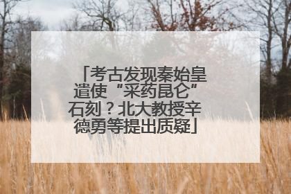 考古发现秦始皇遣使“采药昆仑”石刻？北大教授辛德勇等提出质疑