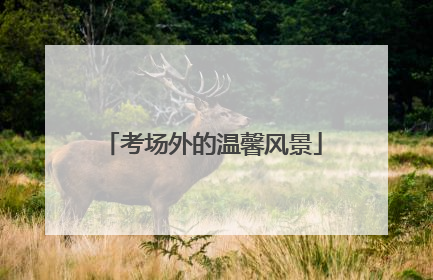 考场外的温馨风景