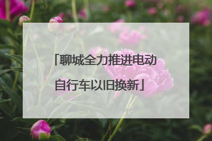 聊城全力推进电动自行车以旧换新